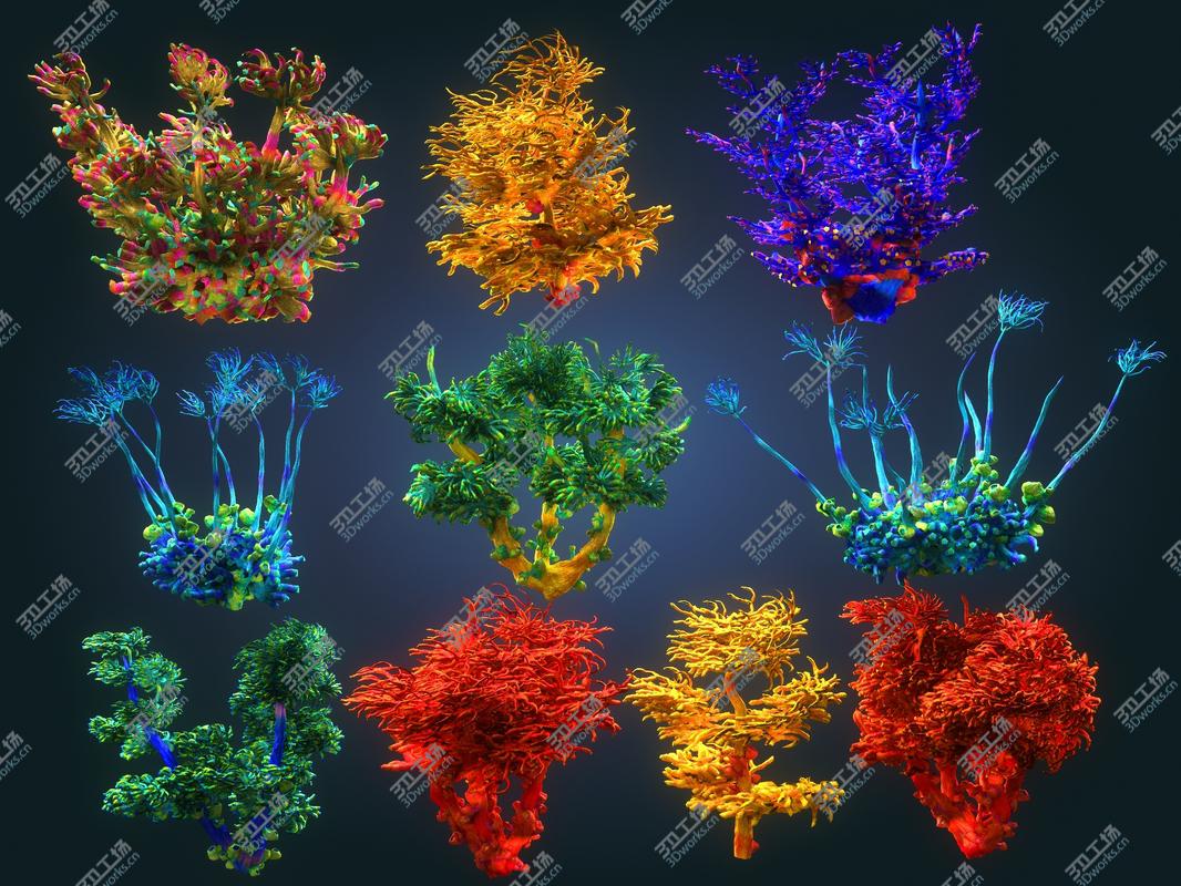 images/goods_img/202104091/3D Coral reef plants Animated Pack 10/1.jpg